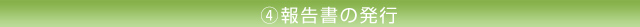 4.報告書の発行