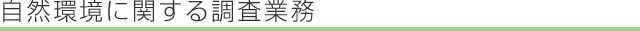 RɊւ钲Ɩ