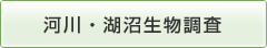 河川・湖沼生物調査
