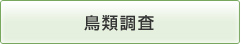 鳥類調査